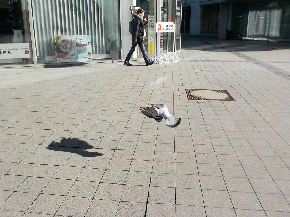 "Sprache(n) lernen durch Fotografie"